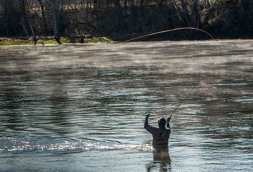 Bull Shoals State Park